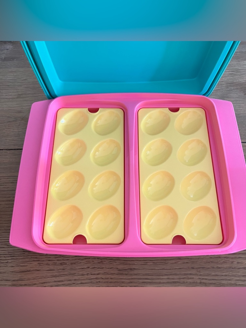 Vintage Tupperware Deviled Egg Keeper Carrier w/ Inserts Pink Teal Retro